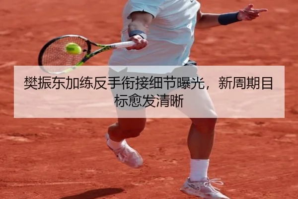 樊振东加练反手衔接细节曝光，新周期目标愈发清晰（BOBSPORTS）